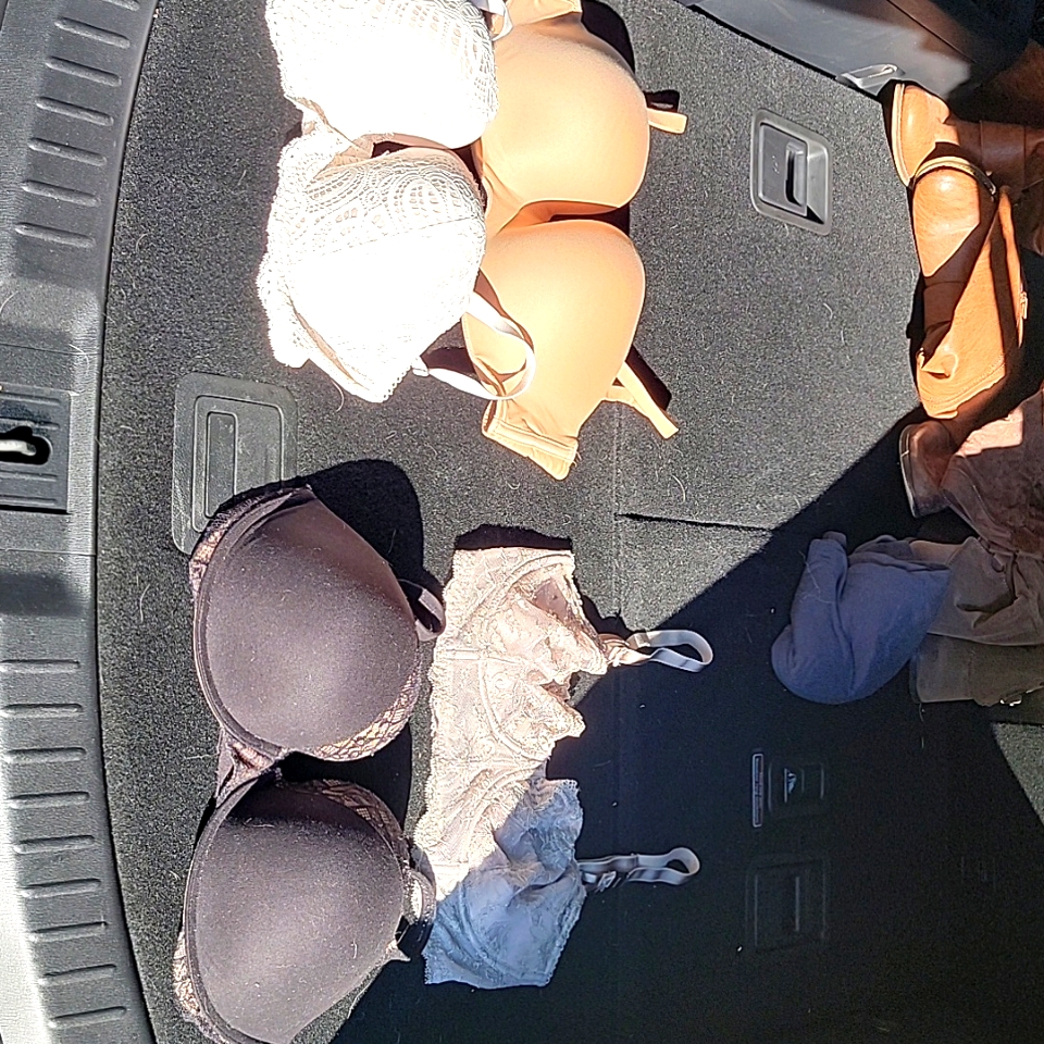 36ddd Vs Bra Bundle